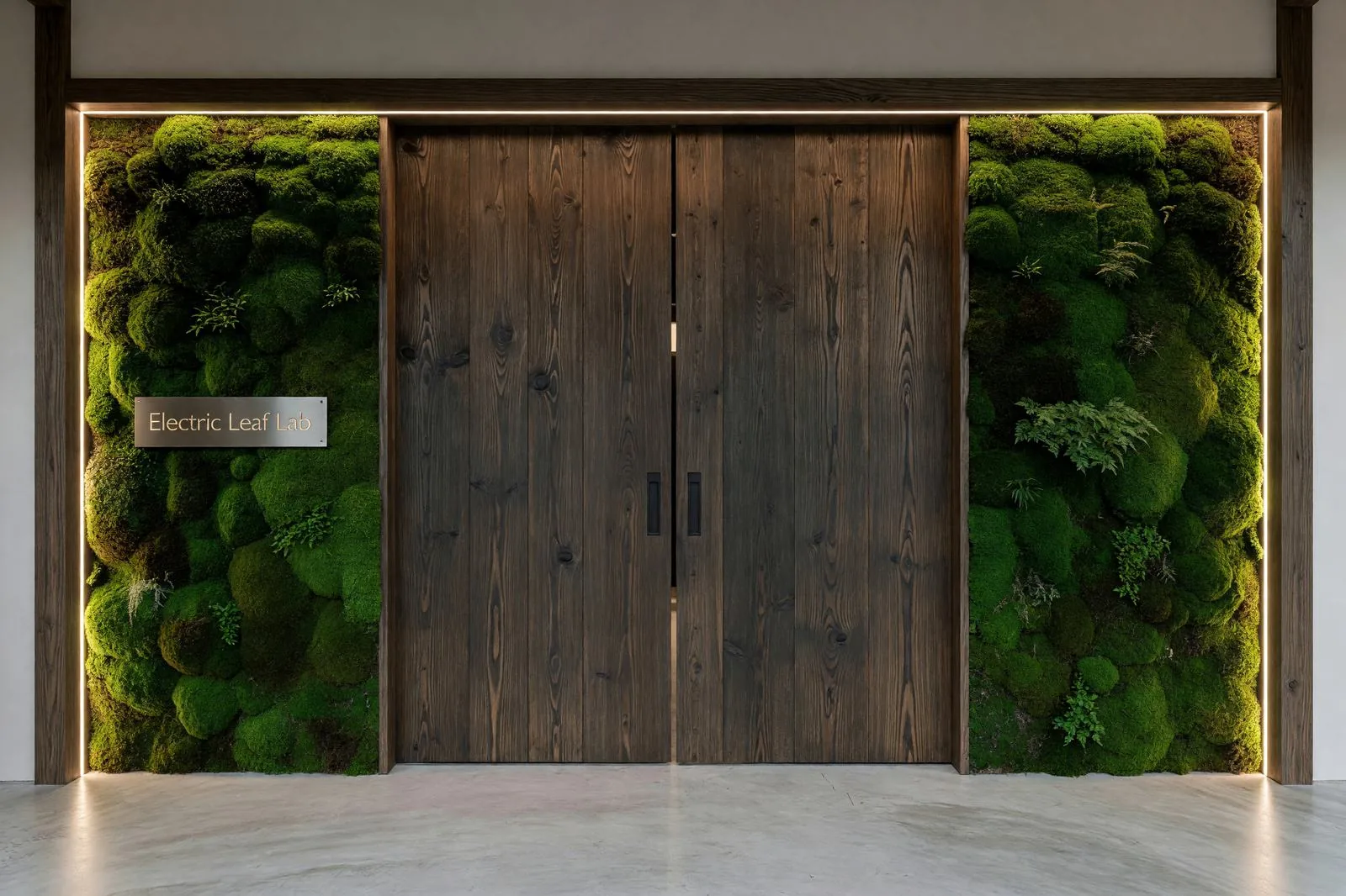 苔で覆われたギャラリー入口 / Moss-covered gallery entrance