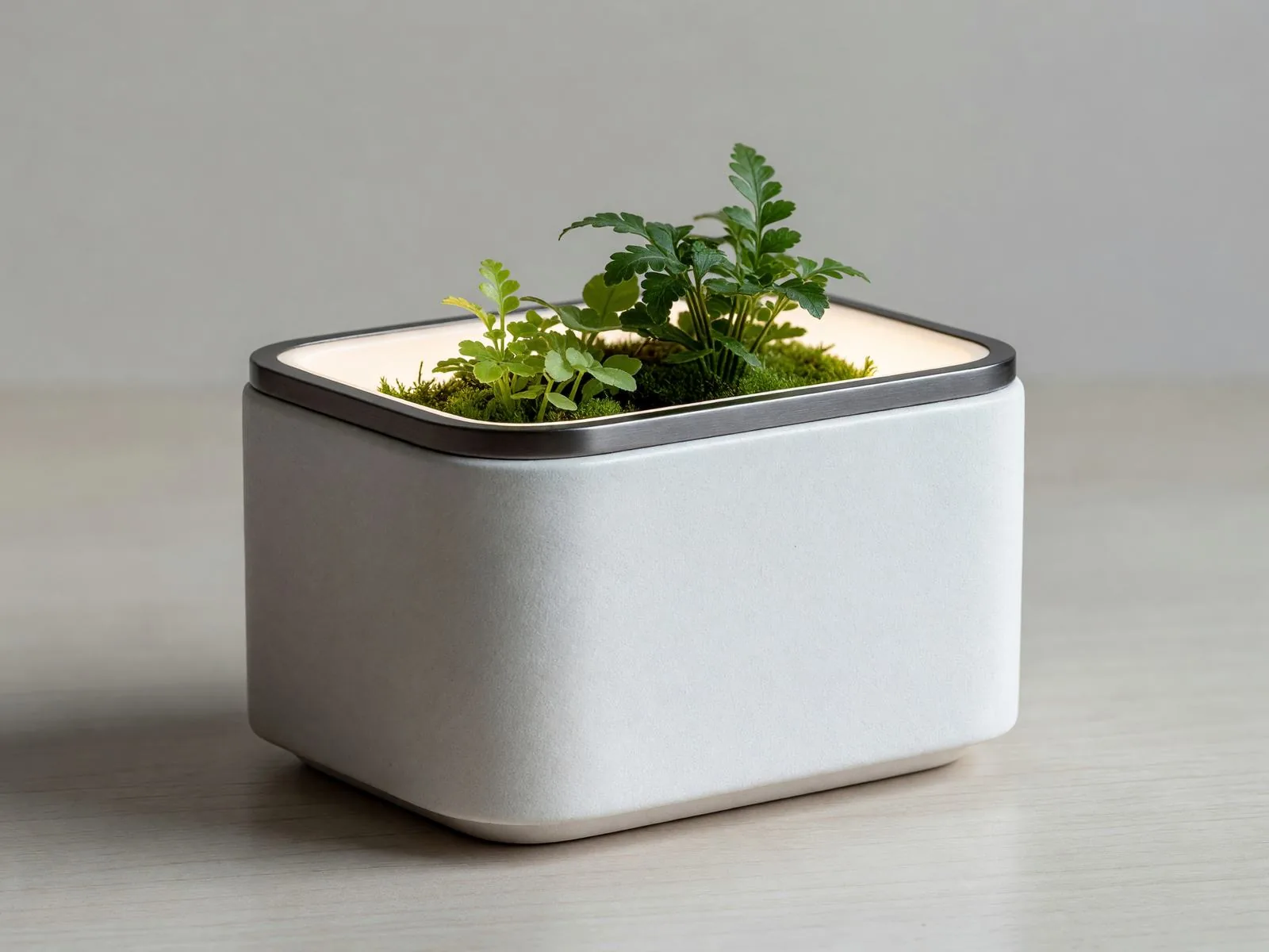 シグネチャープランター、手仕上げの陶器 / Signature planter, hand-finished ceramic piece